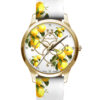 Orologio Camurria Ref. CW20SS1   Orologio Camurria Ref. CW20SS1